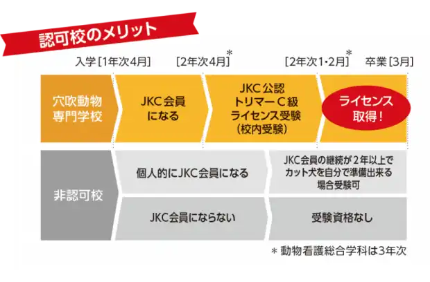 JKCトリマー認可校の穴吹動物専門学校なら、在学中にトリマーC級ライセンスを取得可能