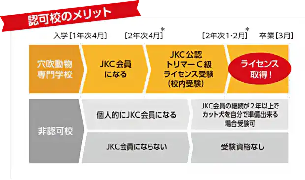 JKCトリマー認可校の穴吹動物専門学校なら、在学中にトリマーC級ライセンスを取得可能