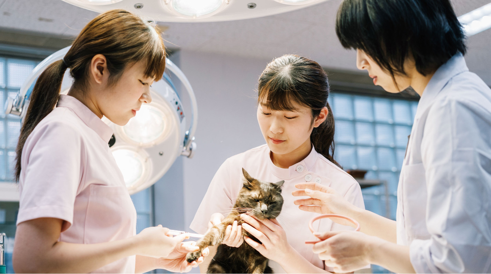 動物看護学 ANIMAL NURSING 動物看護学 ANIMAL NURSING 動物看護学 ANIMAL NURSING Animal